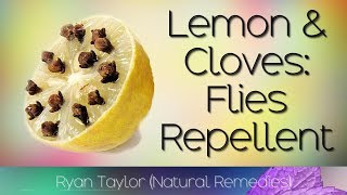 How To Get Rid of Flies Quickly with Lemon and Cloves [upl. by Nedlog]