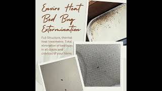 Guaranteed Bed Bug Heat Treatments Greenville SC bedbugservice bedbuginfestation [upl. by Anirret]