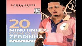 20 MINUTINHOS COM DJ ZEBRINHA   5 MINUTOS DE BONUS [upl. by Oringa]