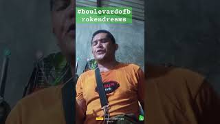 boulevardofbrokendreams highlights cover Ricky Sajonia [upl. by Manheim536]