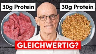 Pflanzliches Protein vs tierisches Protein Das sollten Sie wissen [upl. by Creamer]