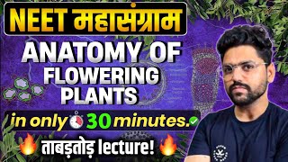 NEET महासंग्राम🔥 ANATOMY OF FLOWERING PLANTS  Neet 2024 [upl. by Egedan]