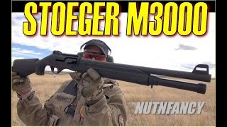 Who Needs a Benelli Stoeger M3000 [upl. by Maryann390]