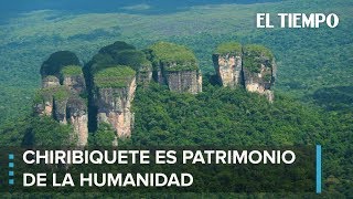 Parque Nacional Chiribiquete es ahora Patrimonio de la Humanidad  EL TIEMPO [upl. by Llennehc]