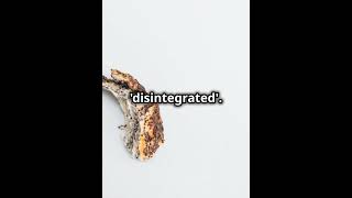 What Does Disintegrate Mean Learn and Use Itgrammarenglishlanguagevocabularyeducationshorts [upl. by Kerman]