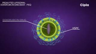 Liposomal technology [upl. by Rodi]