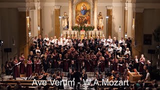 Ave Verum  WA Mozart [upl. by Knorring]