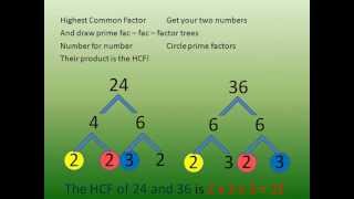 Best Factor song  Fun Learning Math [upl. by Notyap]