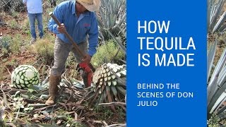 How Tequila Is Made Behind The Scenes of Don Julio Tequila [upl. by Ungley]