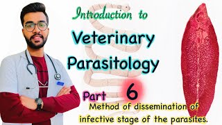 6 Method of dissemination of infective stage of the parasites Veterinary Parasitology  Aniket [upl. by Emogene]