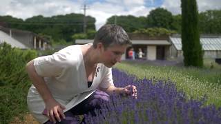 Visiting Downderry Lavender Nursery Billy Showell ⎮Watercolour Beautiful [upl. by Demmahom]