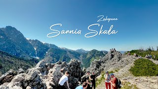 Sarnia Skała Tatry Zachodnie  Widok na Giewont  Tatry  Zakopane  Zakopane 2024 [upl. by Chilton]