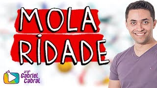 Molaridade  Prof Gabriel Cabral [upl. by Airdnoed]