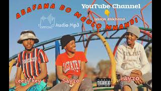 Layzoleezykeyft Izinja ZakhonaAbafana Bo Mculo MnandiSingle Official Audio [upl. by Siouxie]