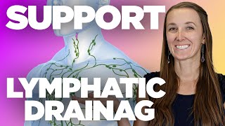 How Can You Support Your Lymphatic Drainage amp Move Your Lymph [upl. by Trillbee]