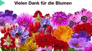 VIELEN DANK für die Blumen und Glückwünsche 💐 Vielen Dank für die Wünsche [upl. by Edyaj]