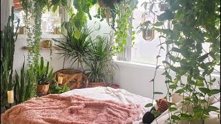 Ideas para decoraciones de cuartos con plantas 🌱 naturales 🏡2020 [upl. by Jaimie]