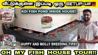 வீட்டிற்குள் இப்படி ஒரு மீன் தொட்டியா  Guppy fish farm in tamil  koi fish pond  ohmyfish8113 [upl. by Bev252]