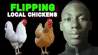 TOP3 STRATEGIES TO MAKE MILLIONS FLIPPING LOCAL CHICKENS  HOW TO START LOCAL CHICKEN FARM [upl. by Ayojal]