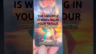 Thebohopsychecom tarot tarotreading tarotcards [upl. by Triplett141]