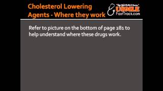 Cholesterol Lowering Agents  Where they work [upl. by Onig220]