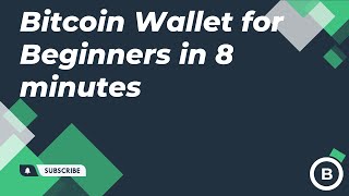 Bitcoin Wallet for Beginners in 8 minutes [upl. by Aicertal]