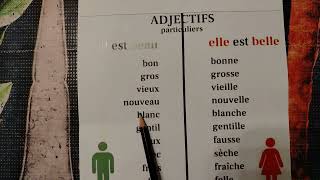 Les adjectifs particuliers الصفات الخاصه [upl. by Endor538]