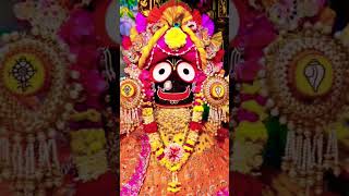 Odia Jagannath Bhajan Status  Jagannath Bhajan youtubeshorts shorts jagannathbhajan ytshorts [upl. by Baerl]