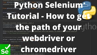 Python Selenium Tutorial  How to get the path of your webdriver or chromedriver [upl. by Konstantin885]