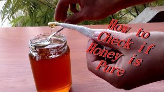 How to check if Honey is Pure [upl. by Kellby734]