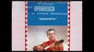 ANTONIO BRIBIESCA Y SU GUITARRA INSTRUMENTAL 8 TEMAS PEGADITOS [upl. by Martynne933]