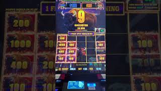 Buffalo Strike Slot Machine  1 dollar bet  hold and spin feature 6 [upl. by Kneeland819]