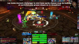 Parangons des Klaxxi 10 NM  Chaman Heal POV  Eyesoul  Archimonde EU [upl. by Stavros]