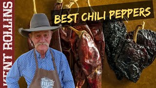 Dried Chili Peppers  Best Peppers for Cooking [upl. by Erret649]