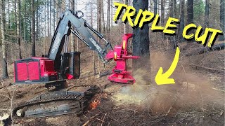 TimberPro TL775D  Triple Cutting Monster Timber [upl. by Clarinda]