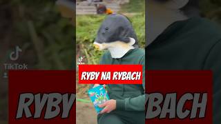 Ryby na Rybach reuploaddc foryou memes funny fishing wędkarstwo viralvideo haha fish xd [upl. by Gold]