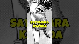 Rise of the Raccoon 🦝 manga mangareview mangarecommendation oniraneo raccoon mangas [upl. by Ymme271]