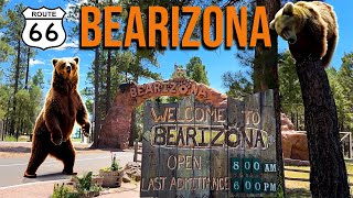 BEARIZONA Arizonas DriveThru Wildlife Park [upl. by Masry]