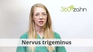 Nervus trigeminus  Was ist der Nervus trigeminus  DentalLexikon  360°zahn [upl. by Notnad]