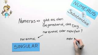 Der Numerus des Substantivs  Deutsch  Grammatik [upl. by Oria]