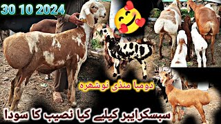 Subscriber K Liya Kiya Naseeb Ka Soda l Nowshera Peshawar Dumba Market Latest Update 30 Oct 2024 [upl. by Lorianne519]