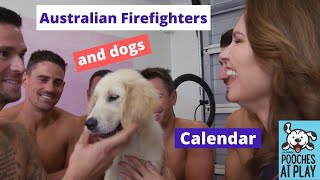 Australian Firefighters Rescue Dog Fundraiser Calendar [upl. by Anayit605]