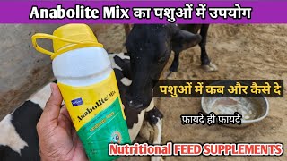 Anabolite Mix  Energy Booster  पशुओं में ग़जब के फ़ायदे कब और कितना दे Pet vet town [upl. by Putnam]