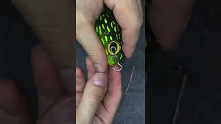 Big lure setup fishingvideo fishing fishingtips [upl. by Lamok605]