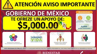 🔴 Gobierno de México ofrece un apoyo mensual de 5000 pesos Te explicamos como ser beneficiario ✔️ [upl. by Renee]