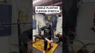 Ankle Plantar Flexion Stretch [upl. by Revlis]