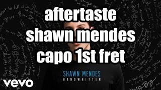 aftertaste shawn mendes [upl. by Pimbley444]