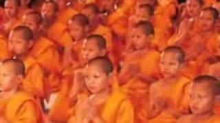 DHAMMAKAYA FOUNDATION [upl. by Ettennil]