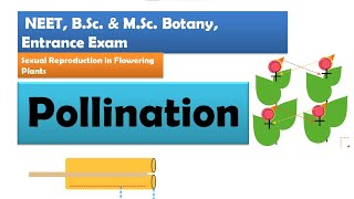 Pollination in Flowering plants  NEET BSc amp MSc Botany [upl. by Lekkim777]