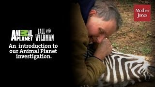 Did Animal Planet Mistreat Its Stars to Fake Reality Drama [upl. by Aiynat]